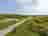 Holmsley Caravan and Camping Site: Campsite entrance and pathways