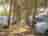 Torre Pendente Camping Village