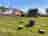 Roaches Retreat Eco Glampsite: Bell tent, kitchen and fire pit