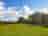 Roey's Retreat: Grass pitching field