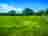 Orchard View