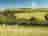 Combas Farm: Green skies over Greenland