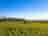 Aylesmore Farm Campsite: Visitor image of pitches on site