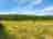 Sprigg Farm: Plenty of space, with a view of the woods