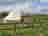 Springfields Countryside Caravan and Camping