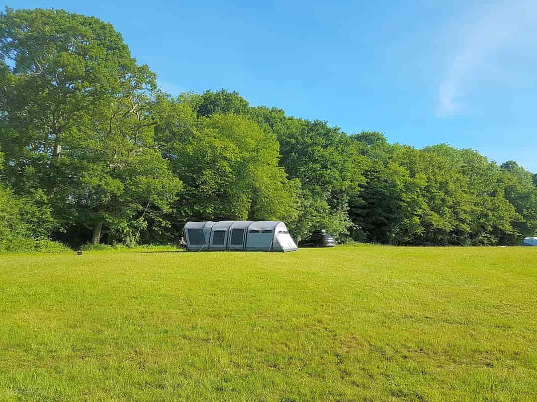 Warbleton Farms Campsite: Brooks 1