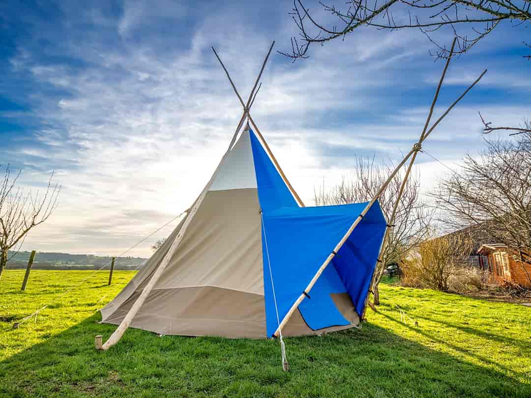 Pilton Yurt Camps: Space for up to three guests