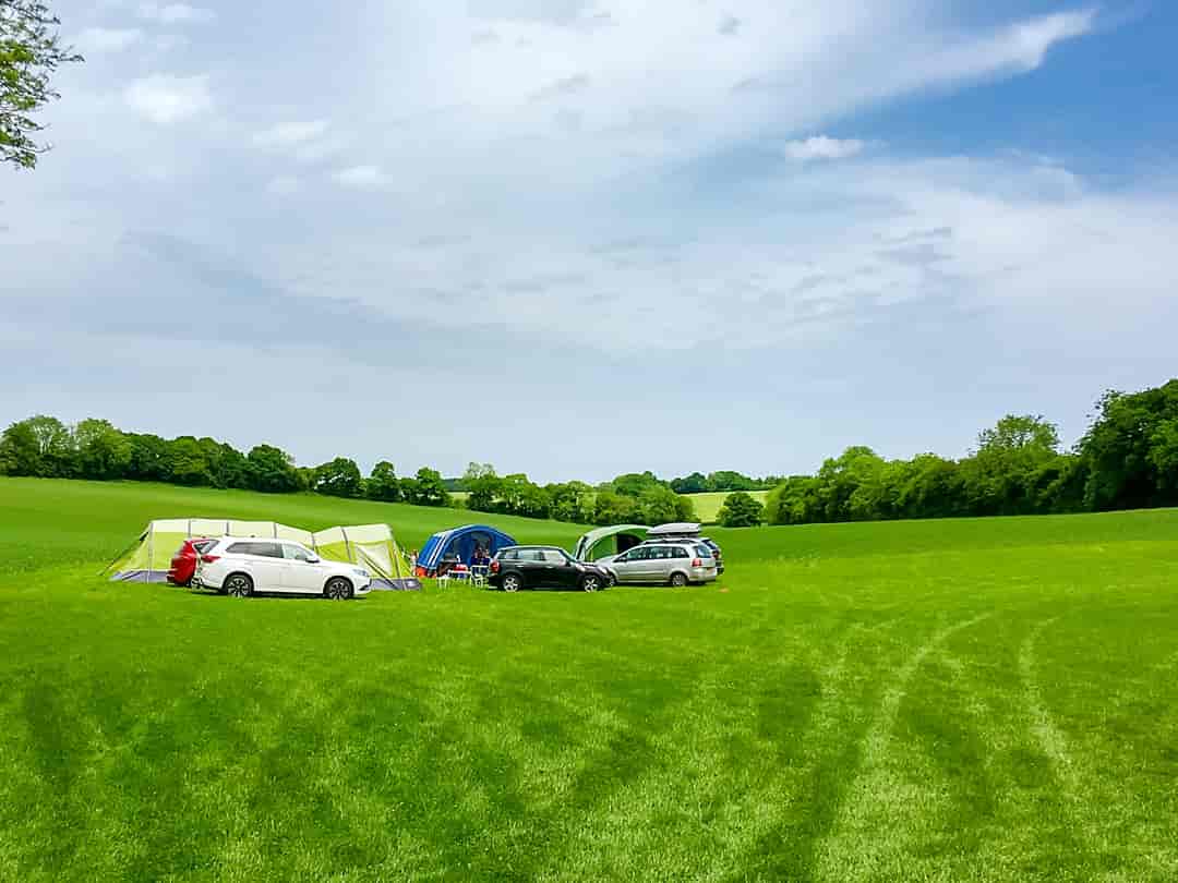 Cedar Valley: The meadow