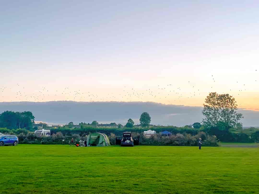 Yellowtail Camping: Amazing views