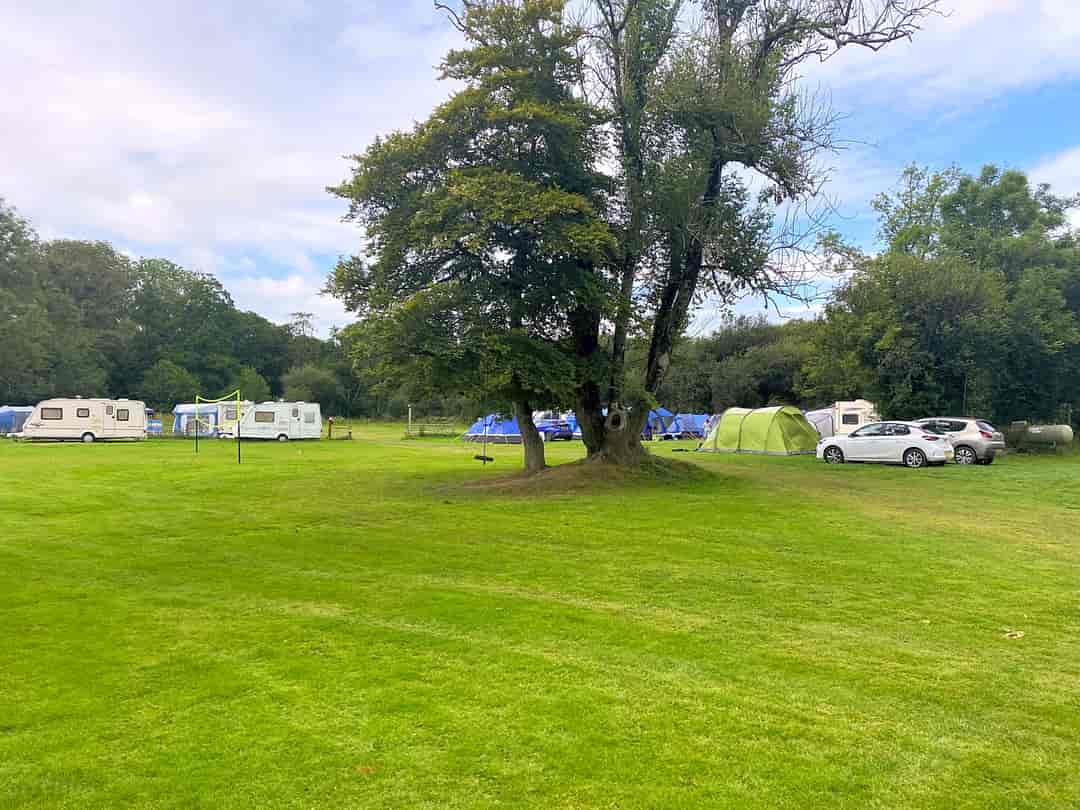 Afon Teifi Caravan and Camping