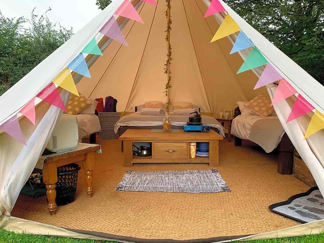 Ducklings Den: Entrance to the tent