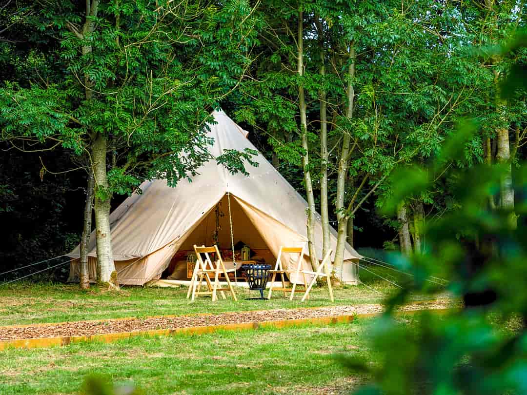 Bowses Hill Farm: Bell tent surrounded by trees