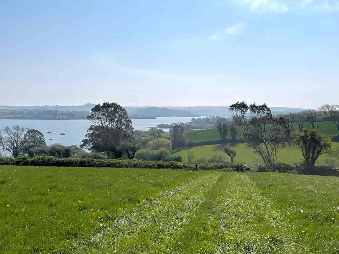 Woodhouse Farm: Campsite view