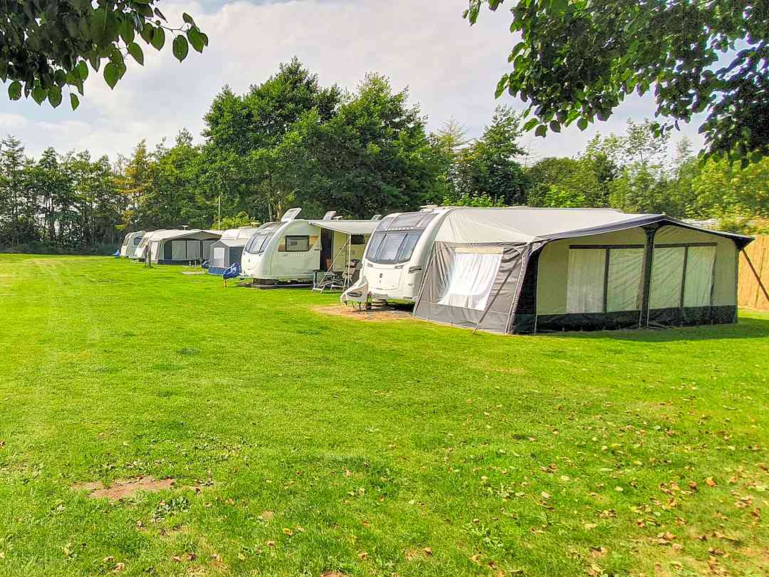 Oakmere Caravan Park and Fishery: Grass touring pitches