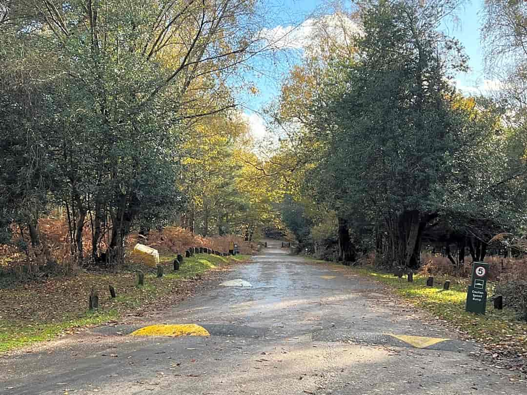 Setthorns Campsite: Entrance to the site