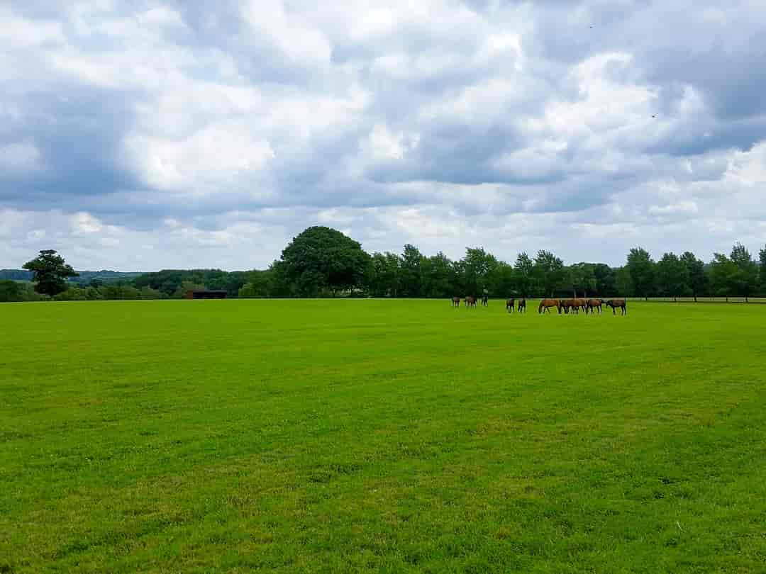 Pebbly Barn Farm