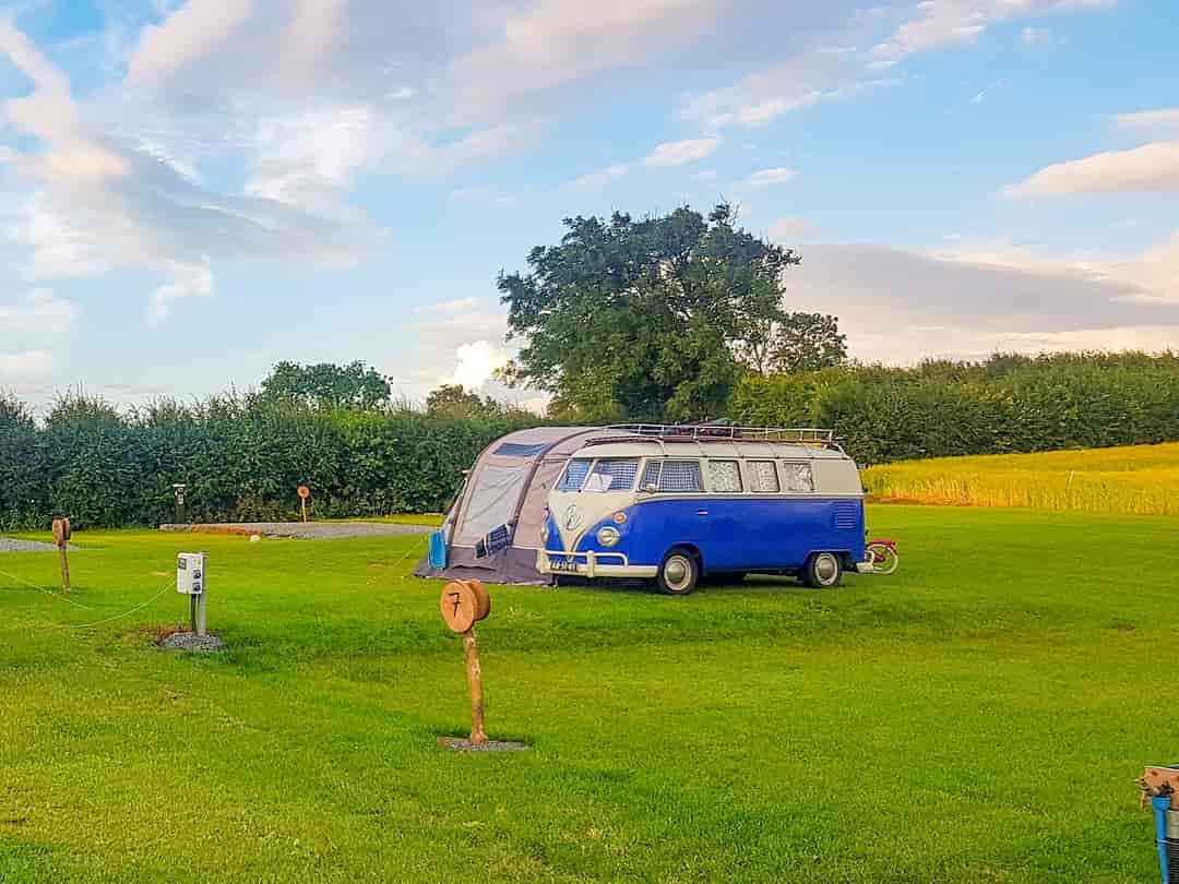 Little Acres Camping