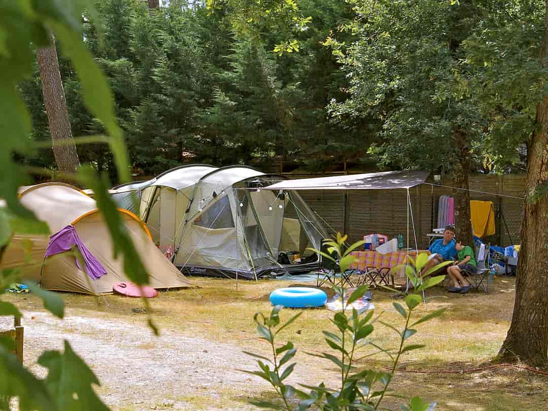 Camping des Pins: Shaded pitches among the trees