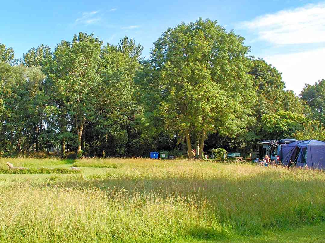 Campsites in Suffolk from £10/nt Pitchup