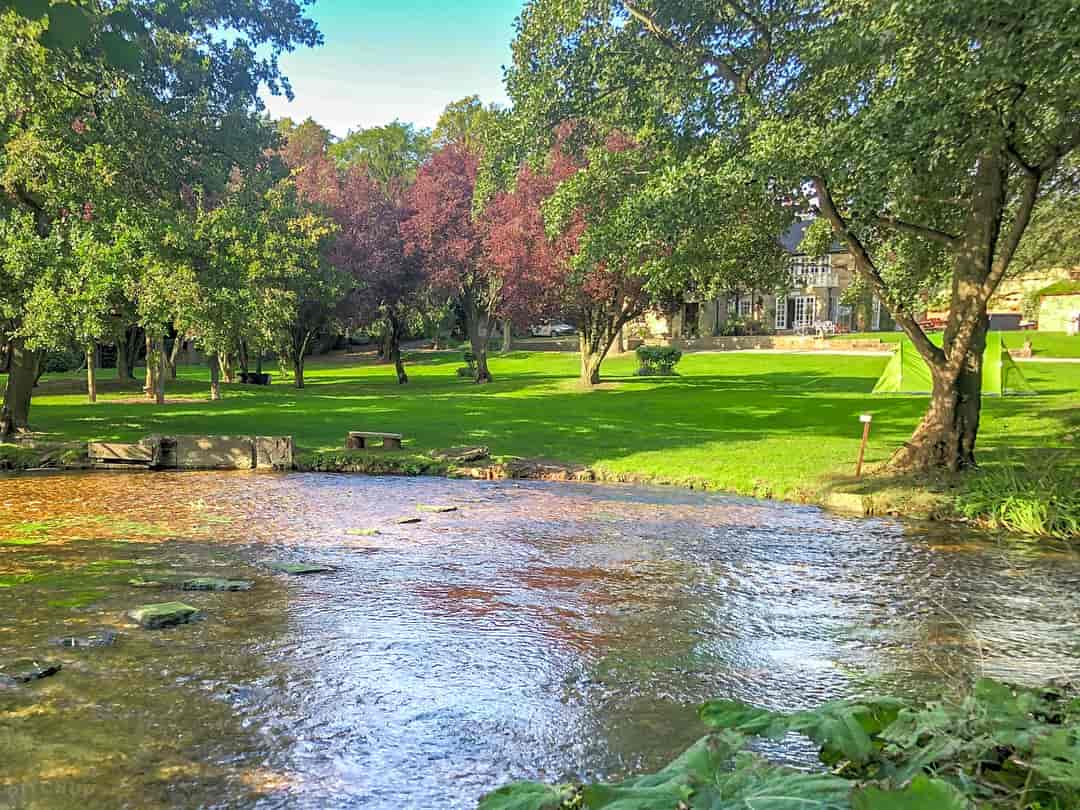 The Old Vicarage: Visitor image of the stream and site grounds