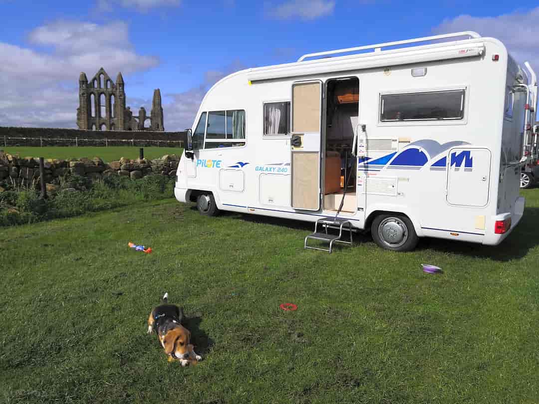 Abbey Farm Showfield