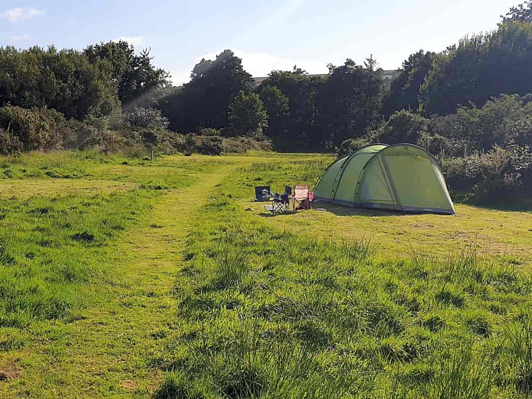 Widecombe Valley - Dartmoor Camping: Individual camping pitches