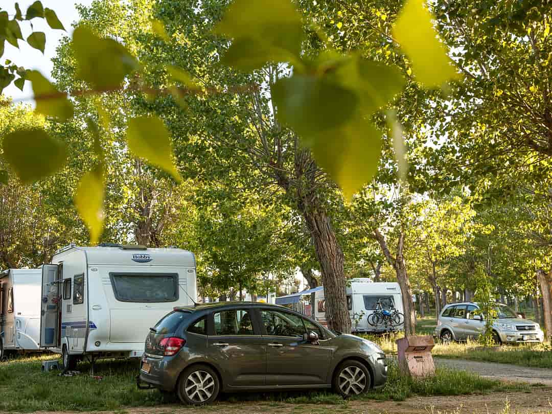 Camping Regio: Pitches on site