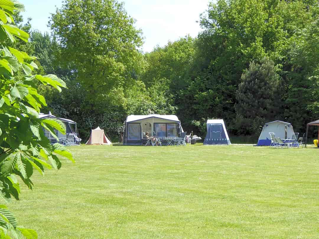 Camping De Bronzen Emmer: Kampeerplaatsen (deels autovrij)