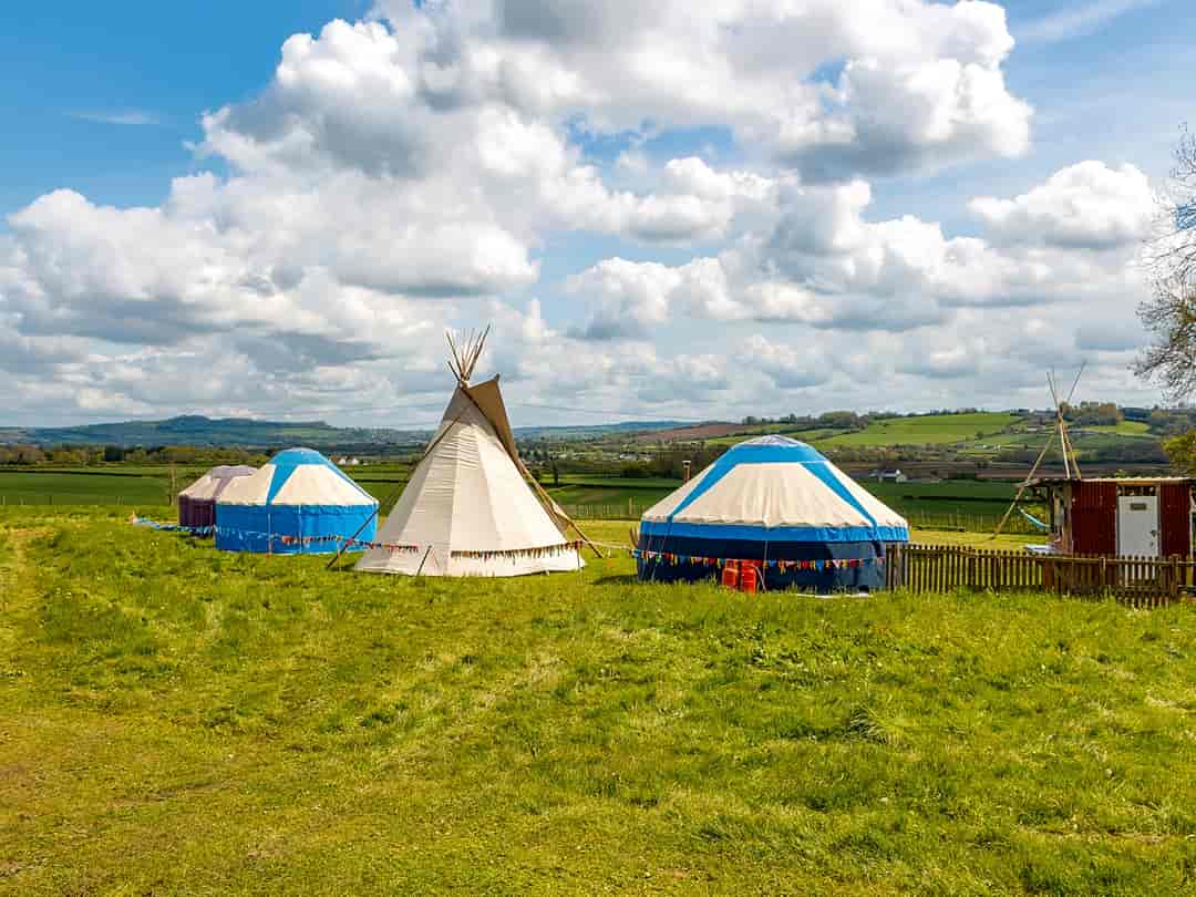 Pilton Yurt Camps: Yurt camp