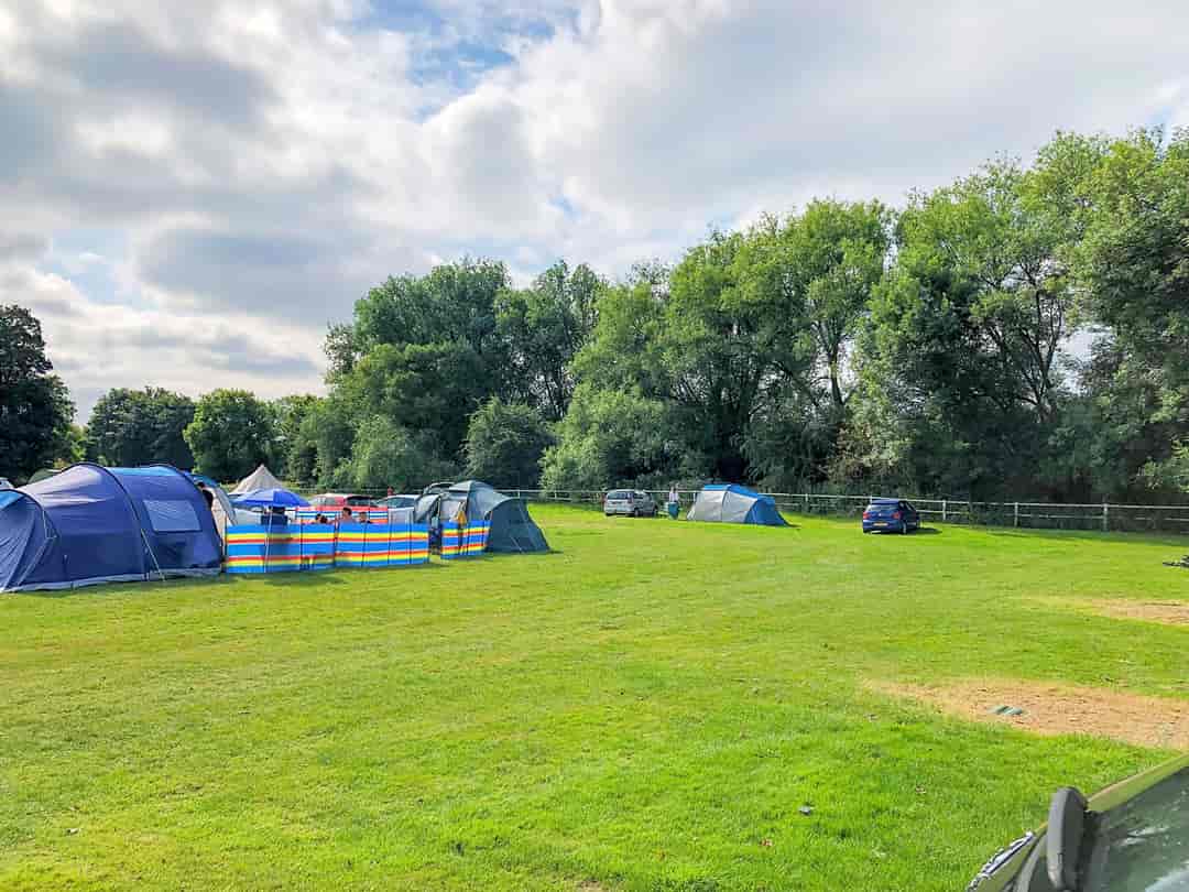 The White Lodge: Grass pitches