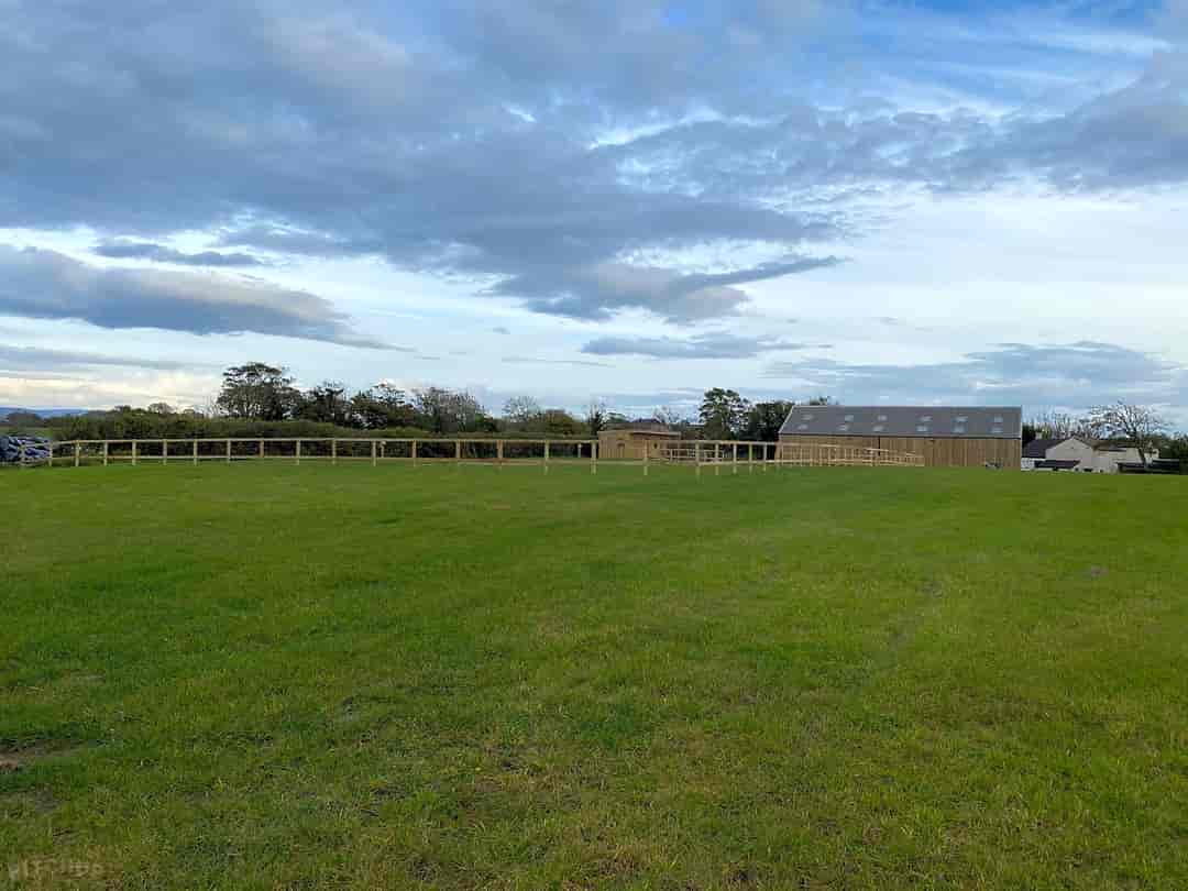 Pointer Farm Campsite: Grass pitches