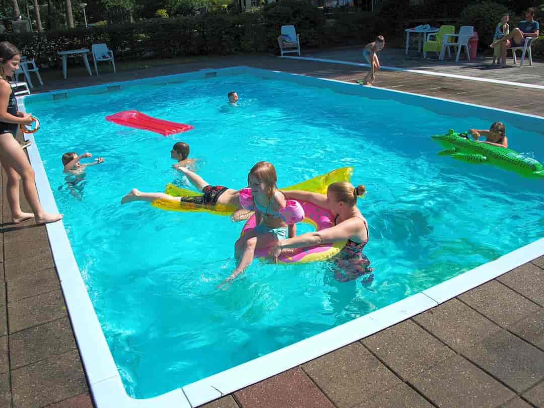 EuroParcs De Wiltzangh: Swimming pool