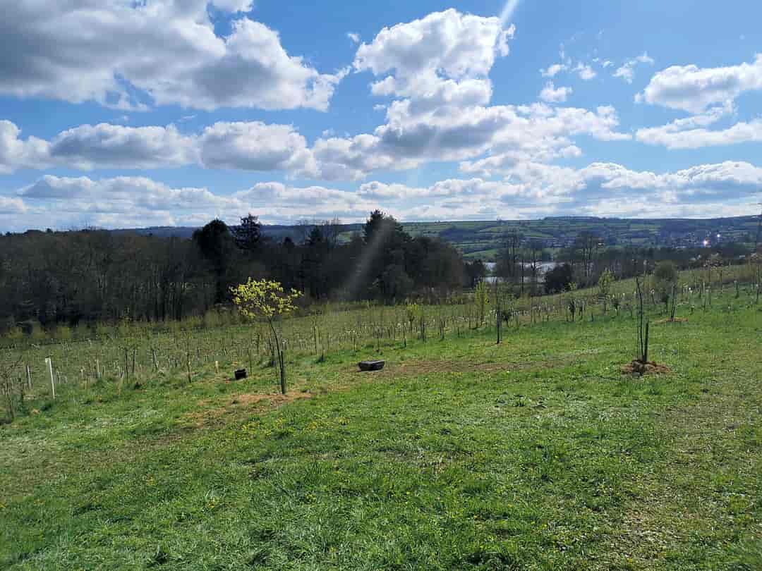 Butcombe New Woods: Views of Blagdon Lake