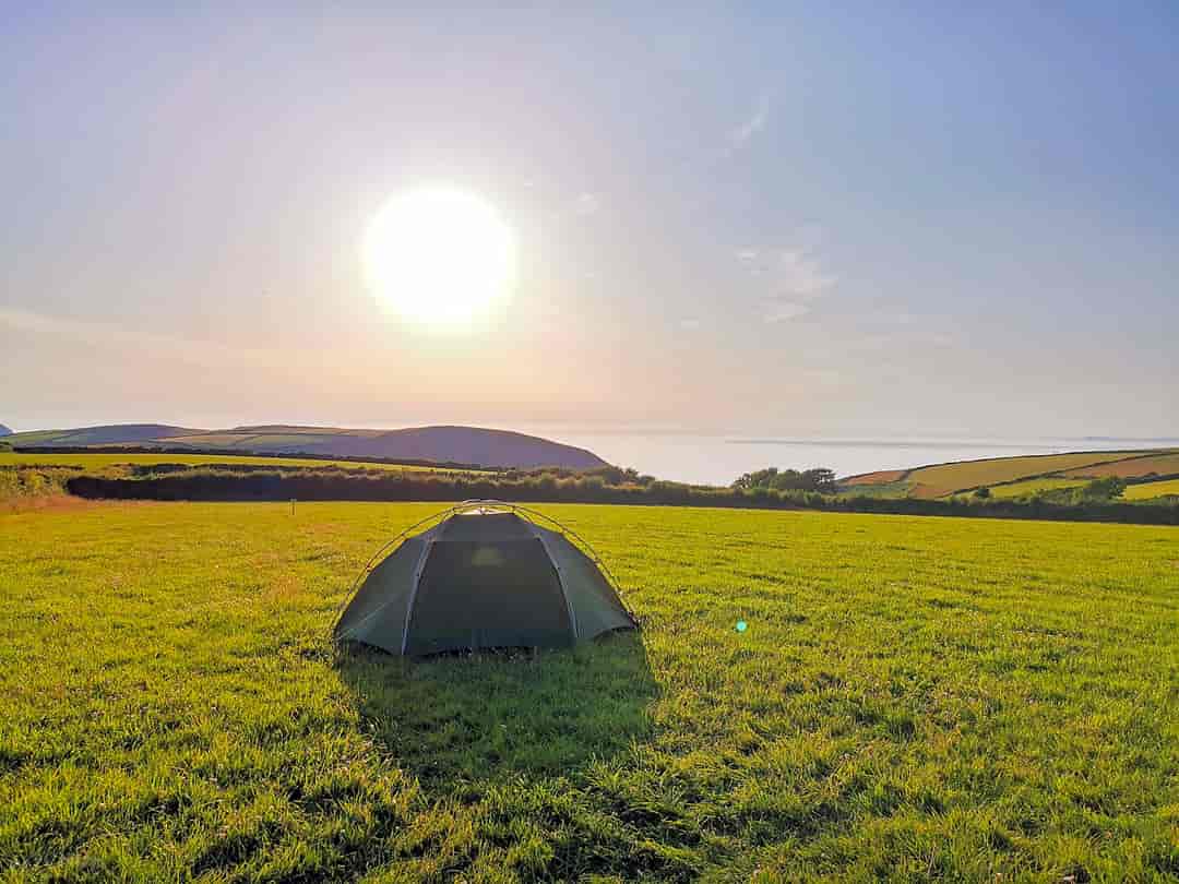 Berry's Ground Lane Campsite: Tent pitches