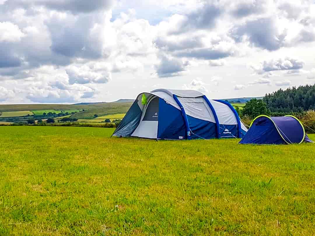 Cator Hill View: Family tent