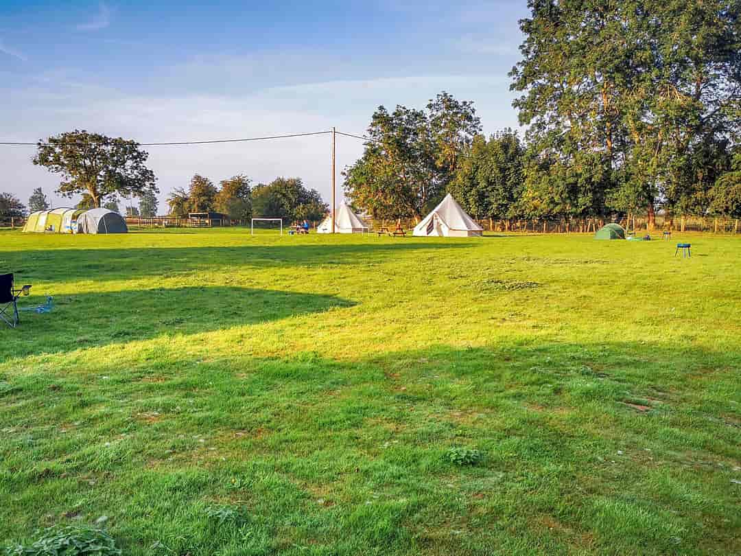 Walnut Tree Meadow Camping: Spacious pitches