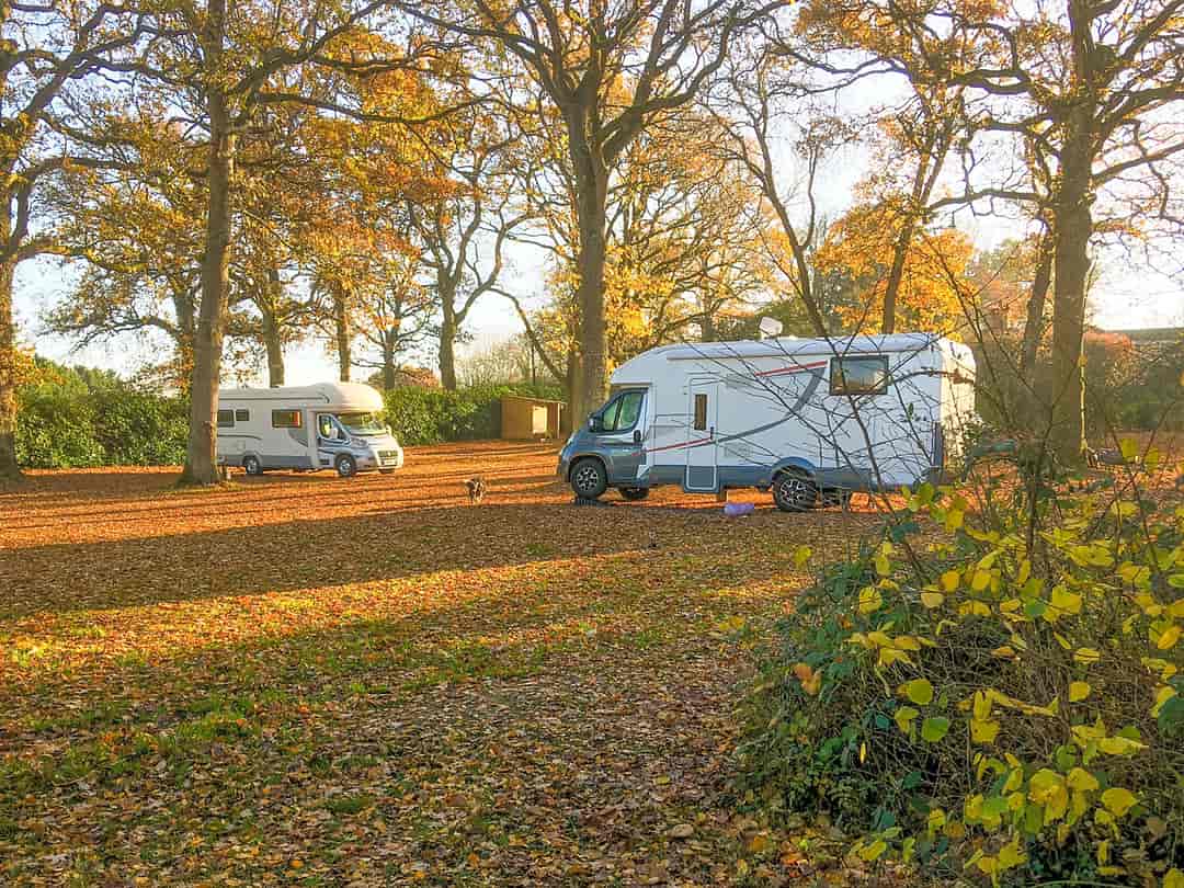 Dapplewood Caravan Site