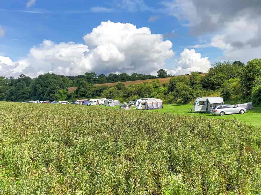 Brocklands Farm: Pitches on site
