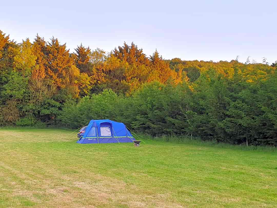 Mendip Ski Camp: Tent pitch