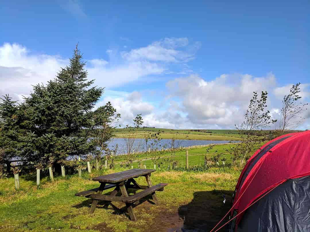 Siblyback Lake Campsite: The lake