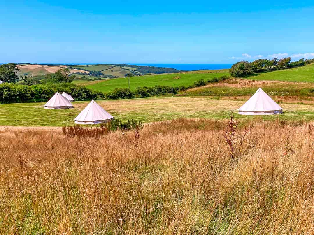 Giddy Farm: Bell tent on site