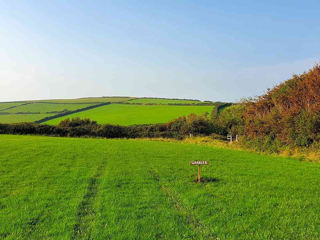 Berry's Ground Lane Campsite: Great views over the surrounding countryside; some pitches have sea views too