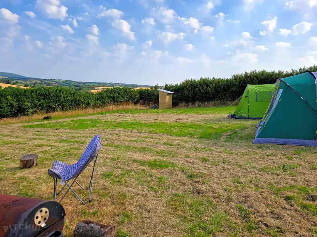 Maple Meadow Camping: Peaceful camp site