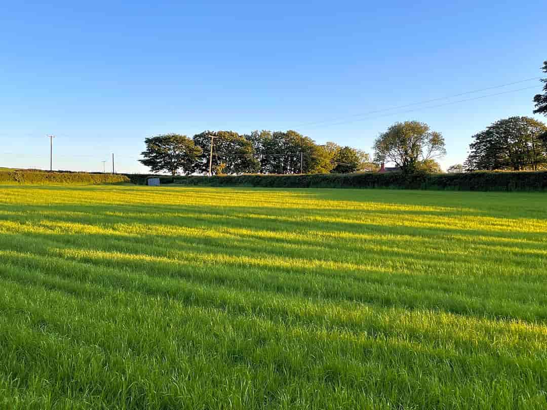 Llys-Y-Frân Meadow Campsite: Views over the meadow field