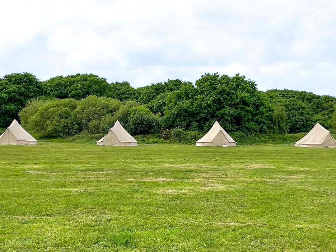 Lepe Meadows Campsite: Plenty of space between the bell tents to park your car