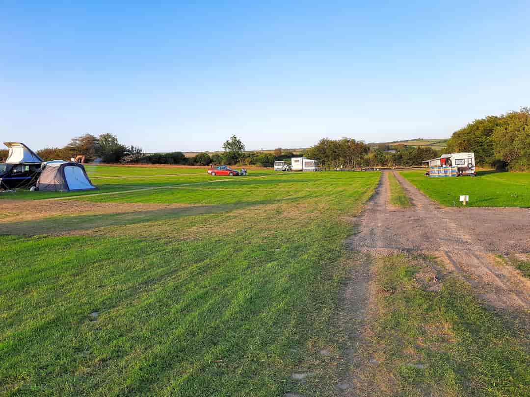 Long Moor Farm Camping: Grass pitches