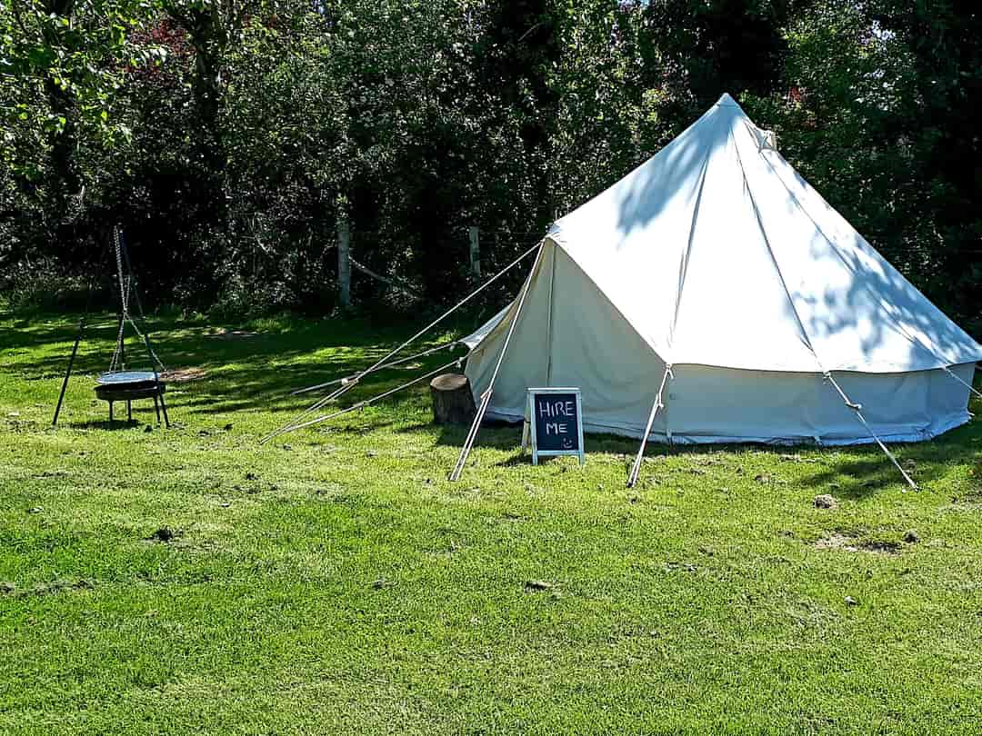 Buckhurst Campsite: Bell tent