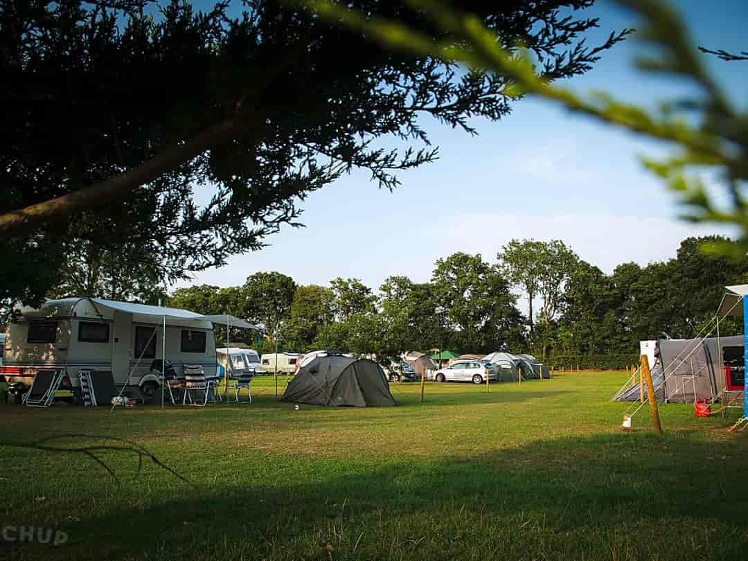 Long Acres Caravan and Camping Park: Tree-lined camping area