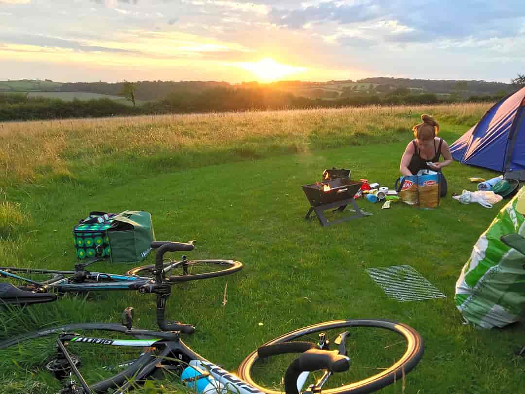 South Town Farm: Setting up camp