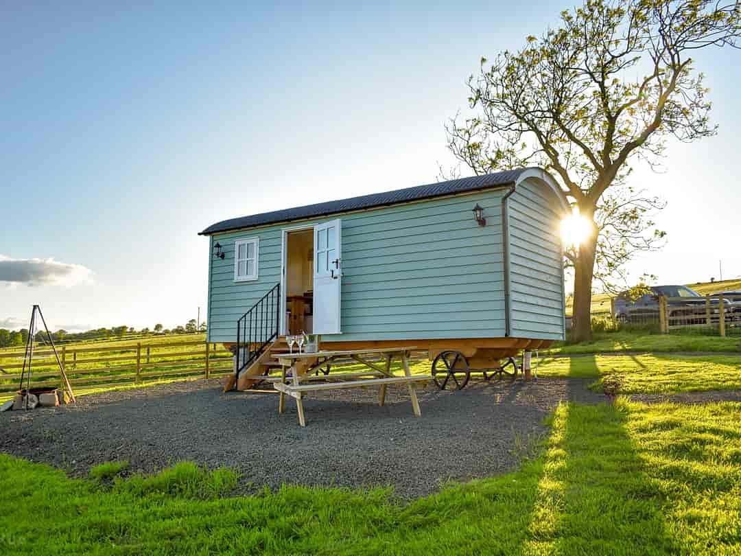 Craigduckie Shepherds Huts: Lamb Lookout